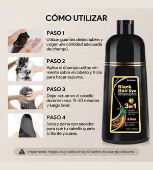 Encabezado