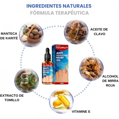 Producto